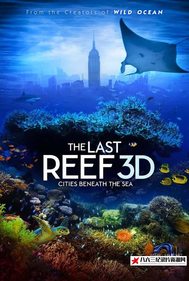 美国纪录片《最后的珊瑚礁 The Last Reef: Cities Beneath the Sea》高清下载-八六三纪录片资源网