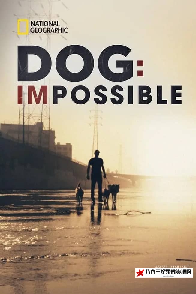美国纪录片《狗：不可能 Dog: Impossible》高清下载-八六三纪录片资源网