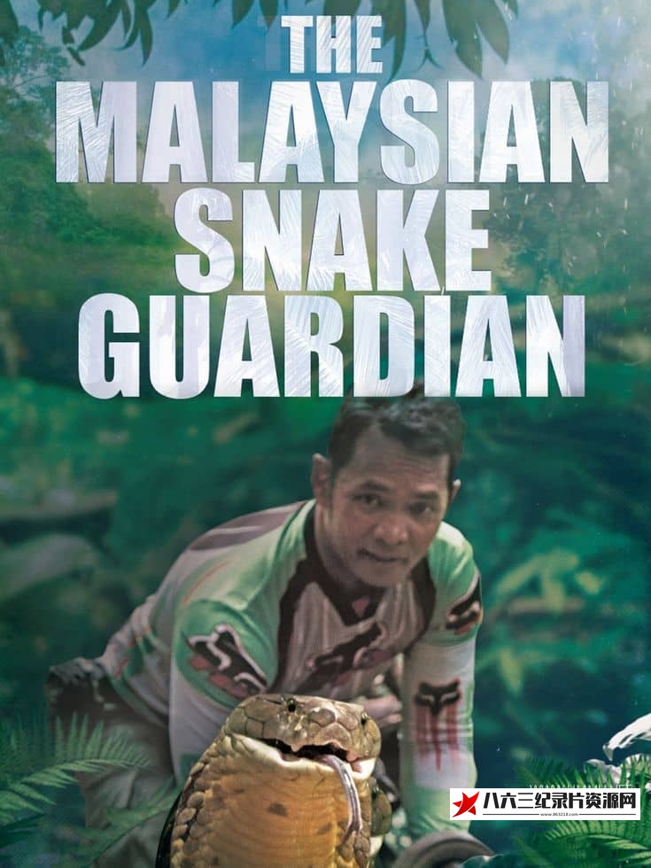 美国纪录片《马来西亚蛇类守护者 The Malaysian Snake Guardian》高清下载-八六三纪录片资源网