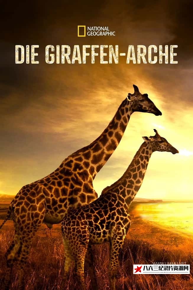 美国纪录片《营救长颈鹿之漫漫归途 Saving Giraffes: The Long Journey Home》高清下载-八六三纪录片资源网