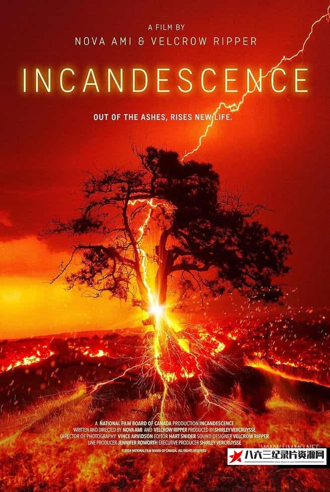 加拿大纪录片《炽热 Incandescence》高清下载-八六三纪录片资源网