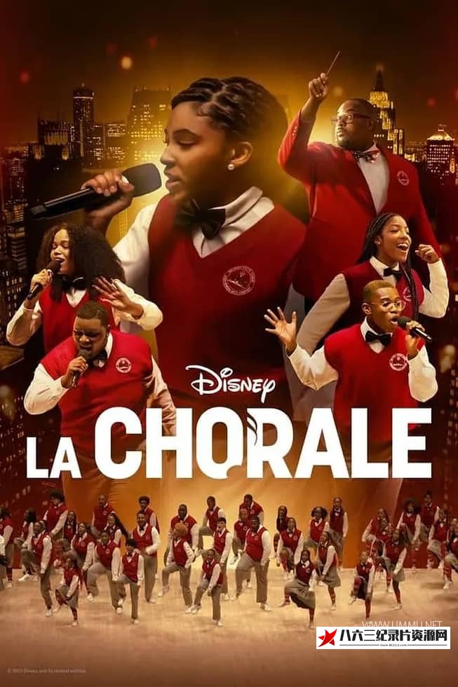 美国纪录片《天籁美声：底特律青少年合唱团 Choir》高清下载-八六三纪录片资源网