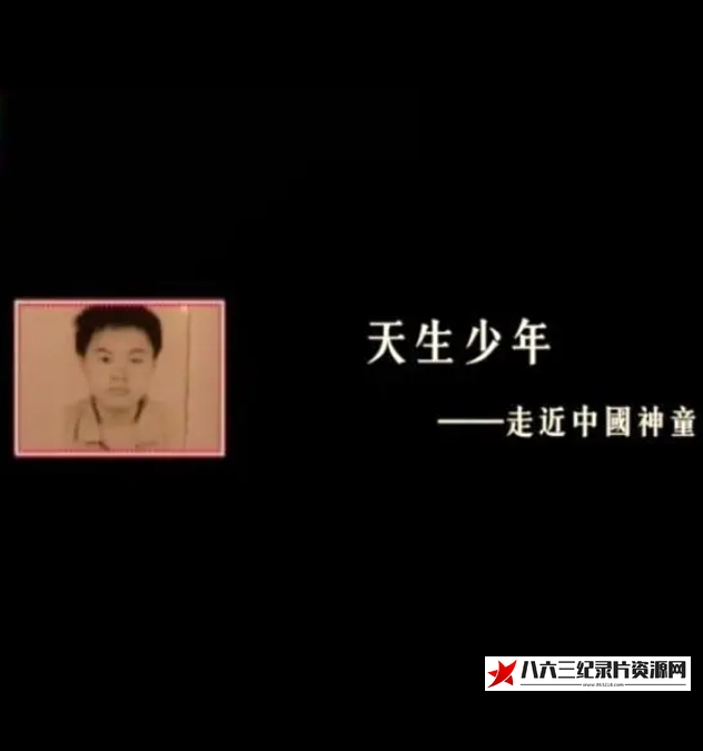 中国大陆纪录片《天生少年——走近中国神童》高清下载-八六三纪录片资源网
