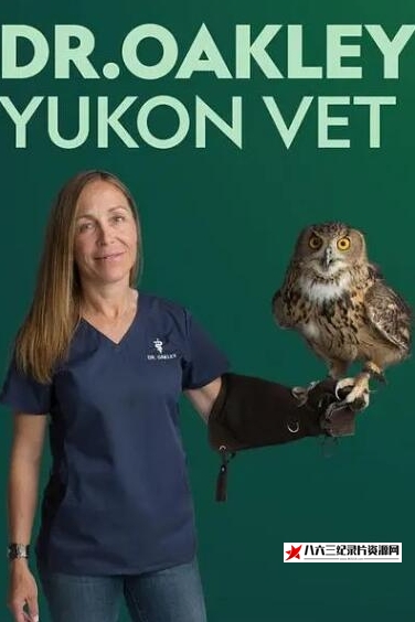 美国纪录片《动物侠医/育空兽医 第4季  Dr. Oakley, Yukon Vet》高清下载-八六三纪录片资源网