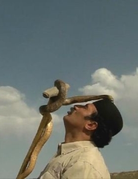 伊朗纪录片《伊朗蛇王 The Snake Sultan》高清下载-八六三纪录片资源网