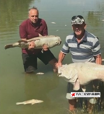 英国纪录片《澳大利亚水战争 Australia's Water Wars》高清下载-八六三纪录片资源网