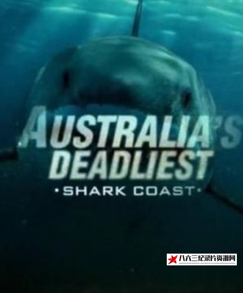 美国纪录片《致命的澳洲鲨鱼海岸 Australia's Deadliest Shark Coast》高清下载-八六三纪录片资源网