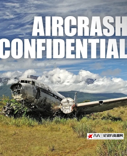 美国纪录片《空难事件簿: 波音737之谜  Air Crash Confidential》高清下载-八六三纪录片资源网