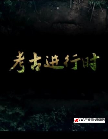 中国大陆纪录片《2023考古进行时  全季》高清下载-八六三纪录片资源网