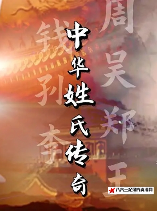 中国大陆纪录片《中华姓氏传奇 2022》高清下载-八六三纪录片资源网