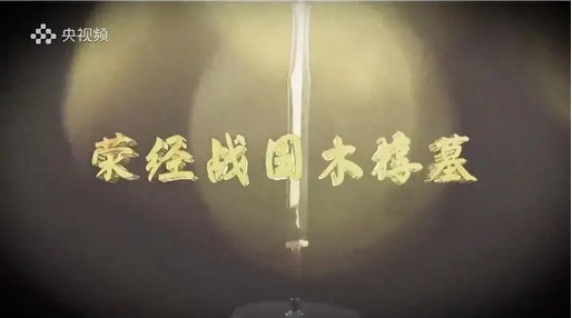 中国大陆纪录片《荥经战国木椁墓 2021》高清下载-八六三纪录片资源网