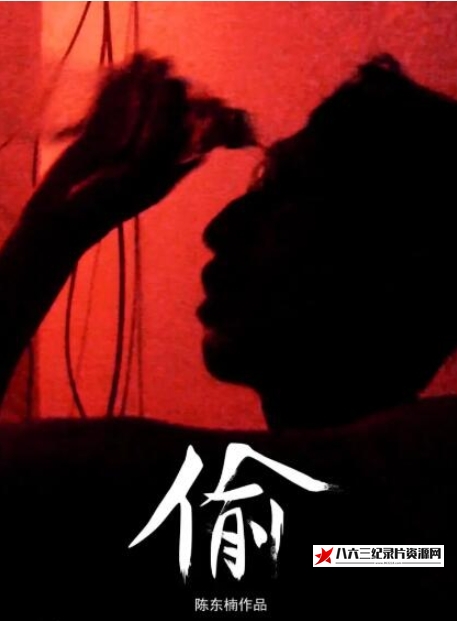 中国大陆纪录片《偷》高清下载-八六三纪录片资源网