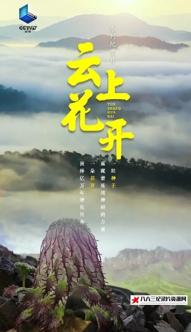 中国大陆纪录片《云上花开 2023》高清下载-八六三纪录片资源网