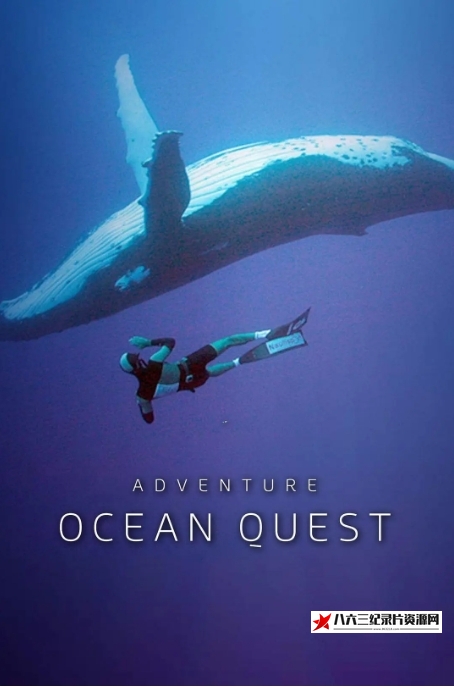 克罗地亚纪录片《天穹：太空探索的进展 Zenith: Advances in Space Exploration》高清下载-八六三纪录片资源网