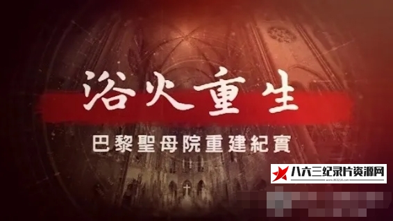 中国香港纪录片《浴火重生·巴黎圣母院重建纪实：修复拱顶 2024》高清下载-八六三纪录片资源网
