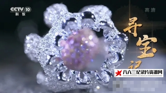 中国大陆纪录片《寻宝记 2021》高清下载-八六三纪录片资源网