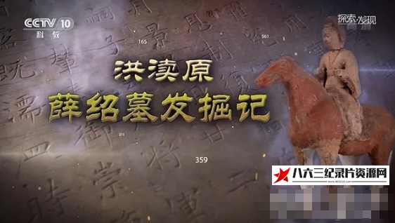 中国大陆纪录片《洪渎原薛绍墓发掘记 2020》高清下载-八六三纪录片资源网