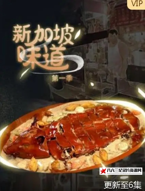 中国大陆纪录片《新加坡味道》高清下载-八六三纪录片资源网