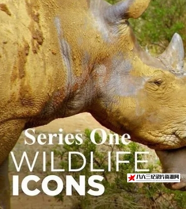 美国纪录片《野性标志 Wildlife Icons 2015》高清下载-八六三纪录片资源网