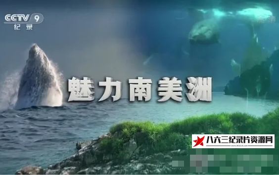 中国大陆纪录片《魅力南美洲/野性拉丁美洲 Wild Latin America 2018》高清下载-八六三纪录片资源网