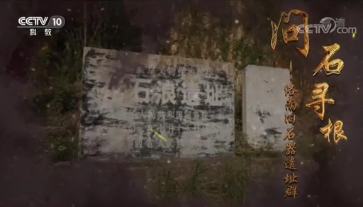 中国大陆纪录片《问石寻根——洛南旧石器遗址群 2021》高清下载-八六三纪录片资源网