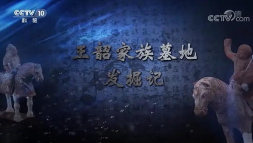 中国大陆纪录片《王韶家族墓地发掘记 2021》高清下载-八六三纪录片资源网