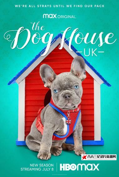 英国纪录片《狗狗之家  第4季  The Dog House》高清下载-八六三纪录片资源网