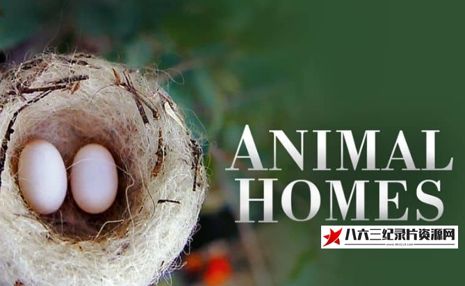 美国纪录片《动物家园 Animal Homes》高清下载-八六三纪录片资源网