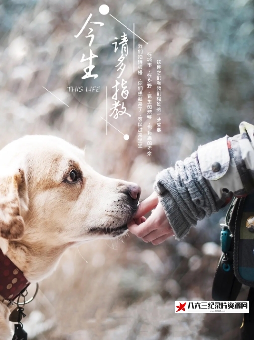 中国大陆纪录片《今生，请多指教》高清下载-八六三纪录片资源网