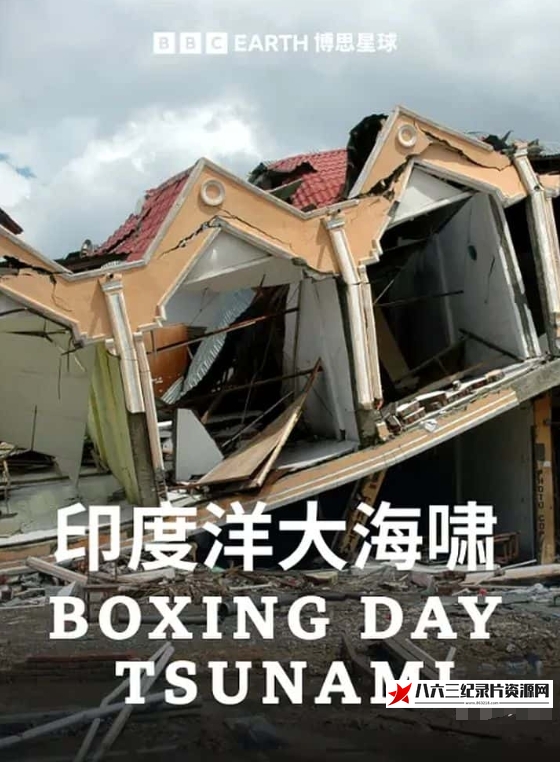英国纪录片《节礼日海啸 Boxing Day Tsunami》高清下载-八六三纪录片资源网