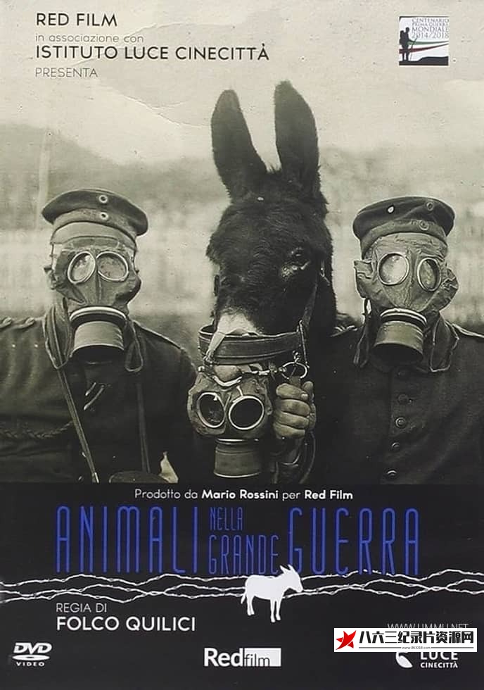 意大利纪录片《战争中的动物 Animali nella Grande Guerra》高清下载-八六三纪录片资源网