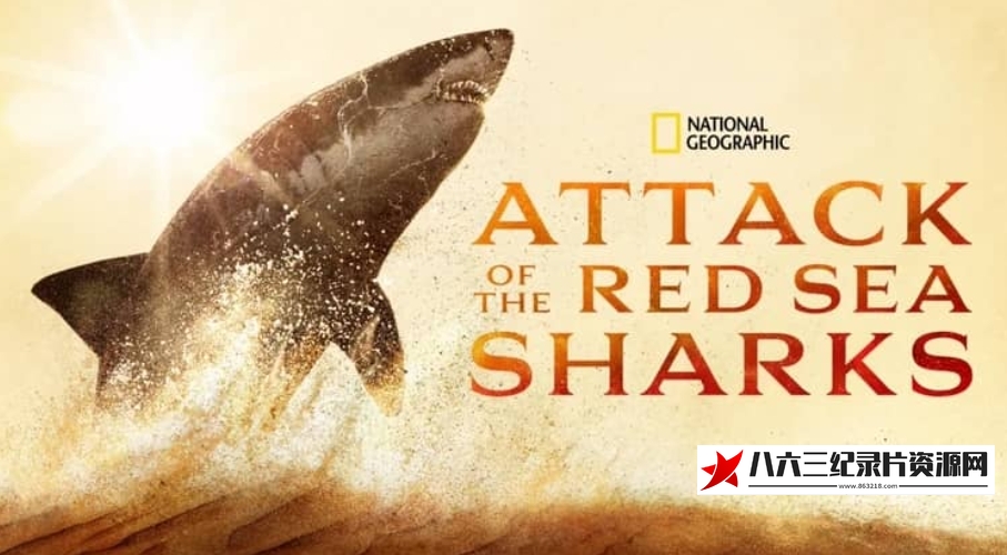 美国纪录片《红海鲨鱼袭击 Attack of the Red Sea Sharks》高清下载-八六三纪录片资源网