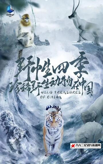 美国纪录片《野性四季：珍稀野生动物在中国》高清下载-八六三纪录片资源网