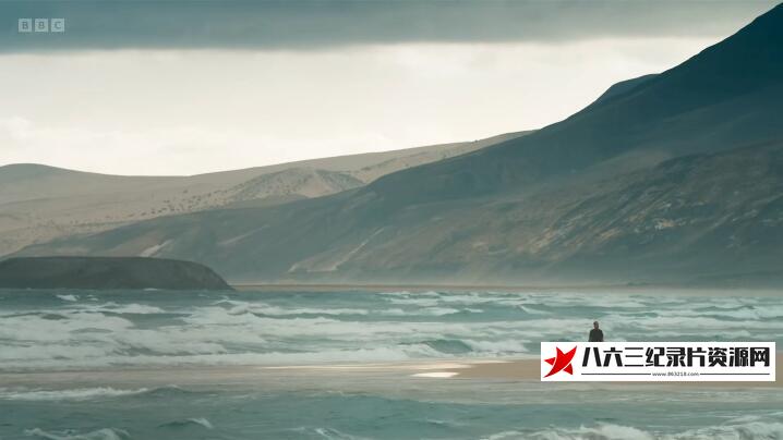 纪录片《地球 Earth 5集》高清下载-八六三纪录片资源网