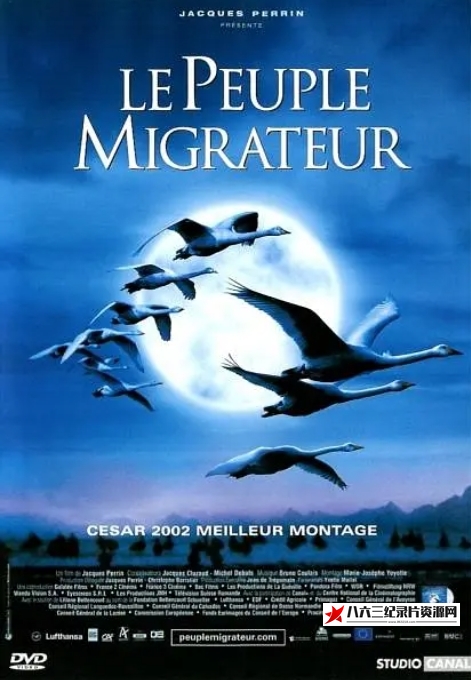 中国大陆纪录片《迁徙的鸟2001》高清下载-八六三纪录片资源网
