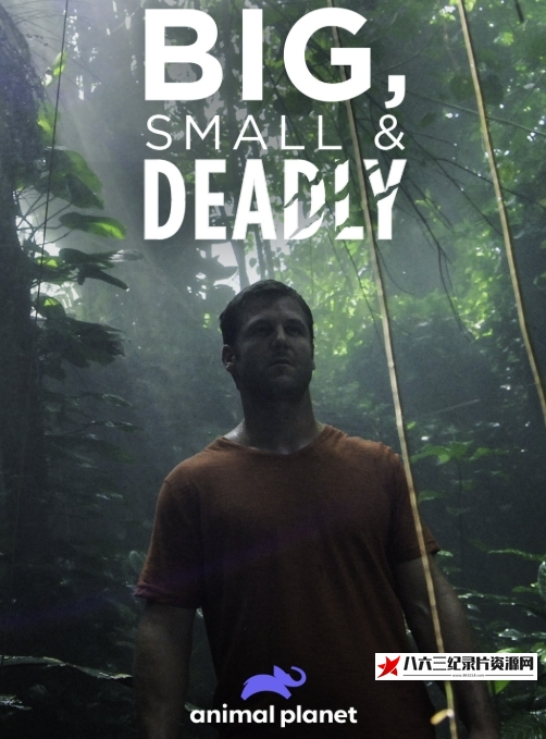 美国纪录片《大的、小的和致命的 Big, Small & Deadly》高清下载-八六三纪录片资源网