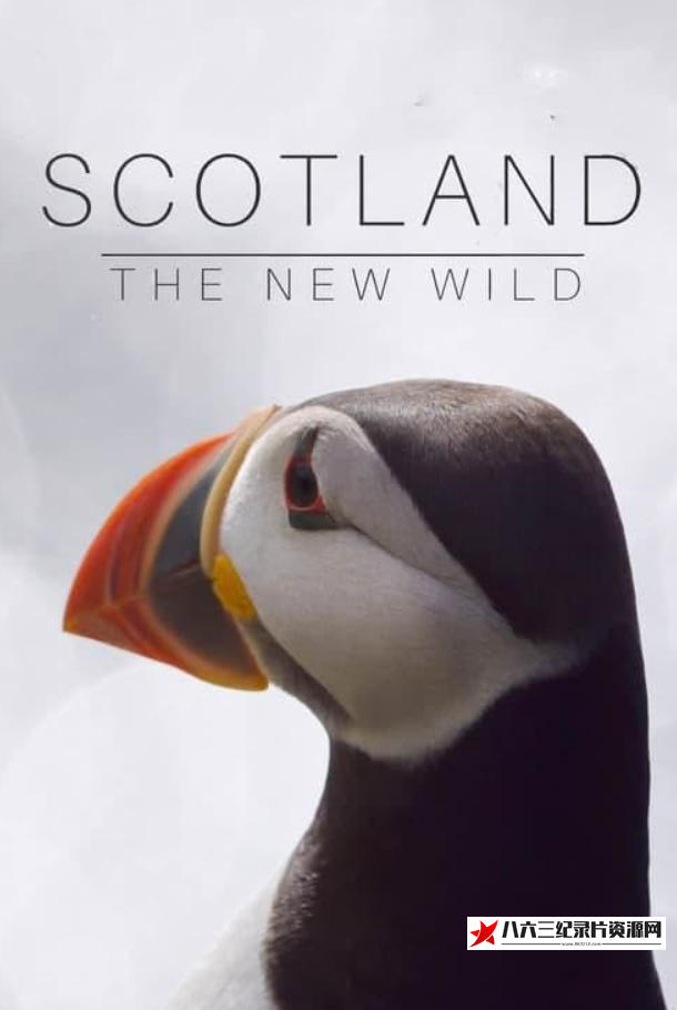 英国纪录片《苏格兰：荒野新生 Scotland：The new Wild》高清下载-八六三纪录片资源网