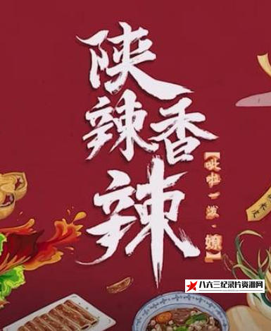 中国大陆纪录片《陕辣香辣》高清下载-八六三纪录片资源网