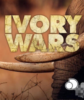 美国纪录片《象牙战争 Ivory Wars 2013》高清下载-八六三纪录片资源网