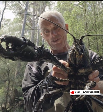 中国大陆纪录片《杰里米·维德 黑暗水域/深水探秘 Jeremy Wade’s Dark Waters 2018》高清下载-八六三纪录片资源网