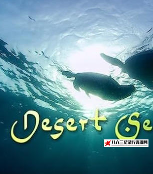 美国纪录片《沙漠海洋 Desert Seas 2011》高清下载-八六三纪录片资源网