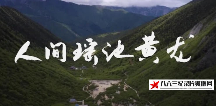 中国大陆纪录片《人间瑶池黄龙 2022》高清下载-八六三纪录片资源网