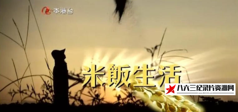 中国香港纪录片《米饭生活 Rice Is Life 2014》高清下载-八六三纪录片资源网