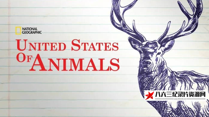 美国纪录片《美国动物百科 United States of Animals》高清下载-八六三纪录片资源网
