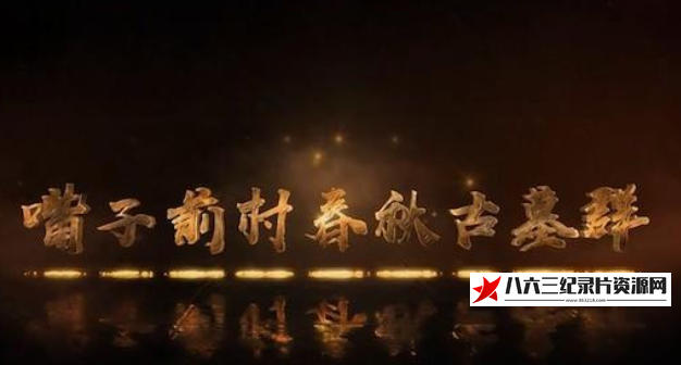 中国大陆纪录片《嘴子前村春秋古墓群 2022》高清下载-八六三纪录片资源网