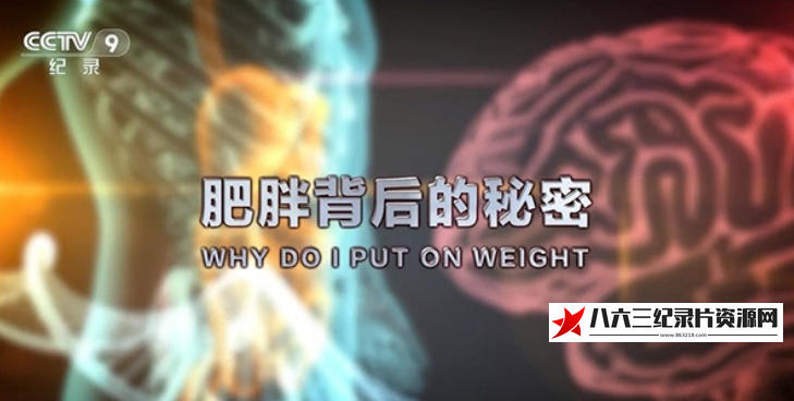 中国大陆纪录片《肥胖背后的秘密 Why Do I Put on Weight? 2019》高清下载-八六三纪录片资源网