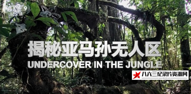 中国大陆纪录片《揭秘亚马孙无人区 Undercover in the Jungle 2019》高清下载-八六三纪录片资源网