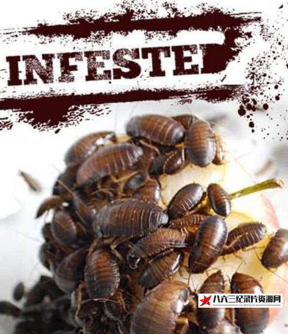 美国纪录片《害虫入侵！Infested!》高清下载-八六三纪录片资源网