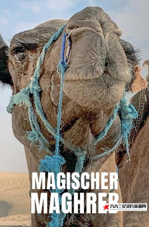 德国纪录片《了不起的马格里布/“日落之地”马格里布 Magischer Maghreb 2019》高清下载-八六三纪录片资源网