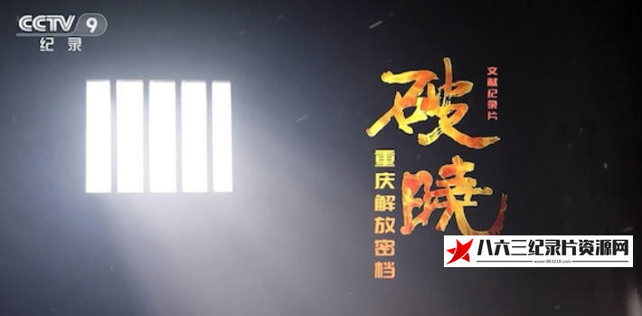 中国大陆纪录片《破晓——重庆解放密档 2020》高清下载-八六三纪录片资源网